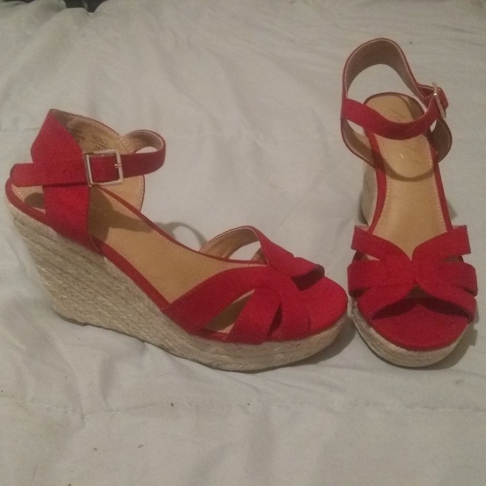 red wedges.